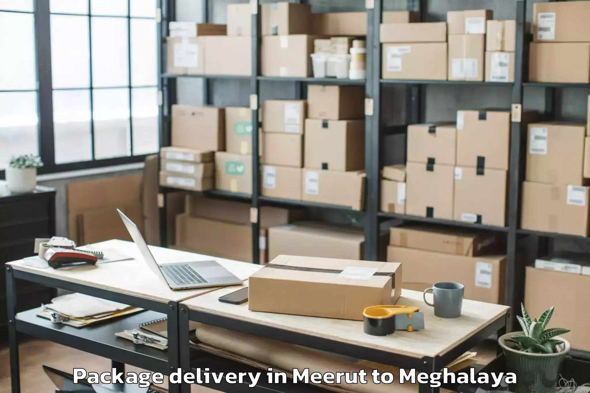 Easy Meerut to Umling Package Delivery Booking